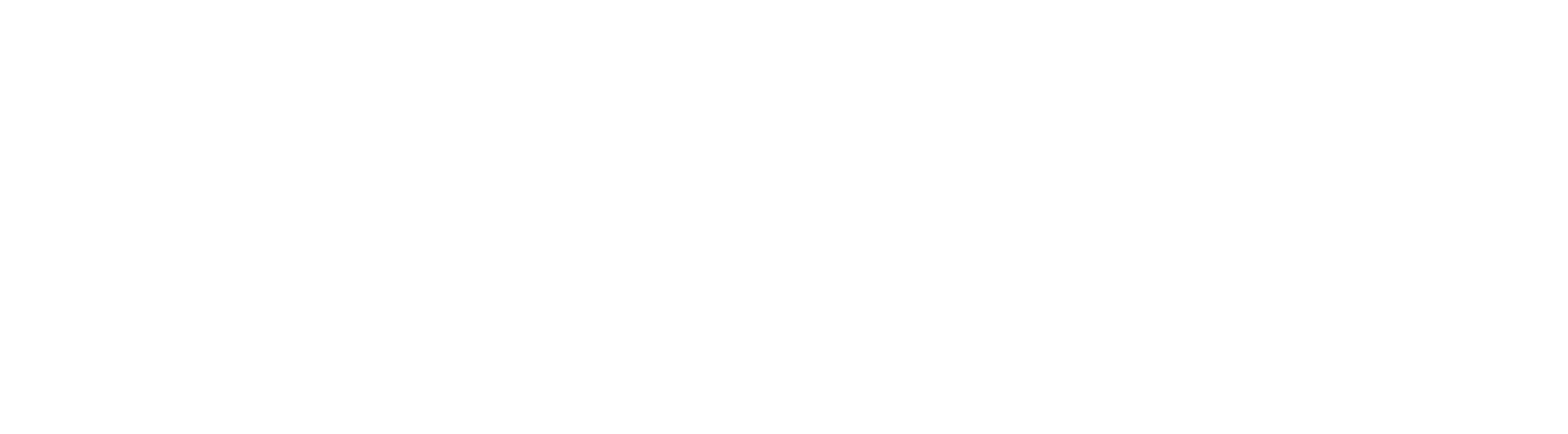 Logo Segfault